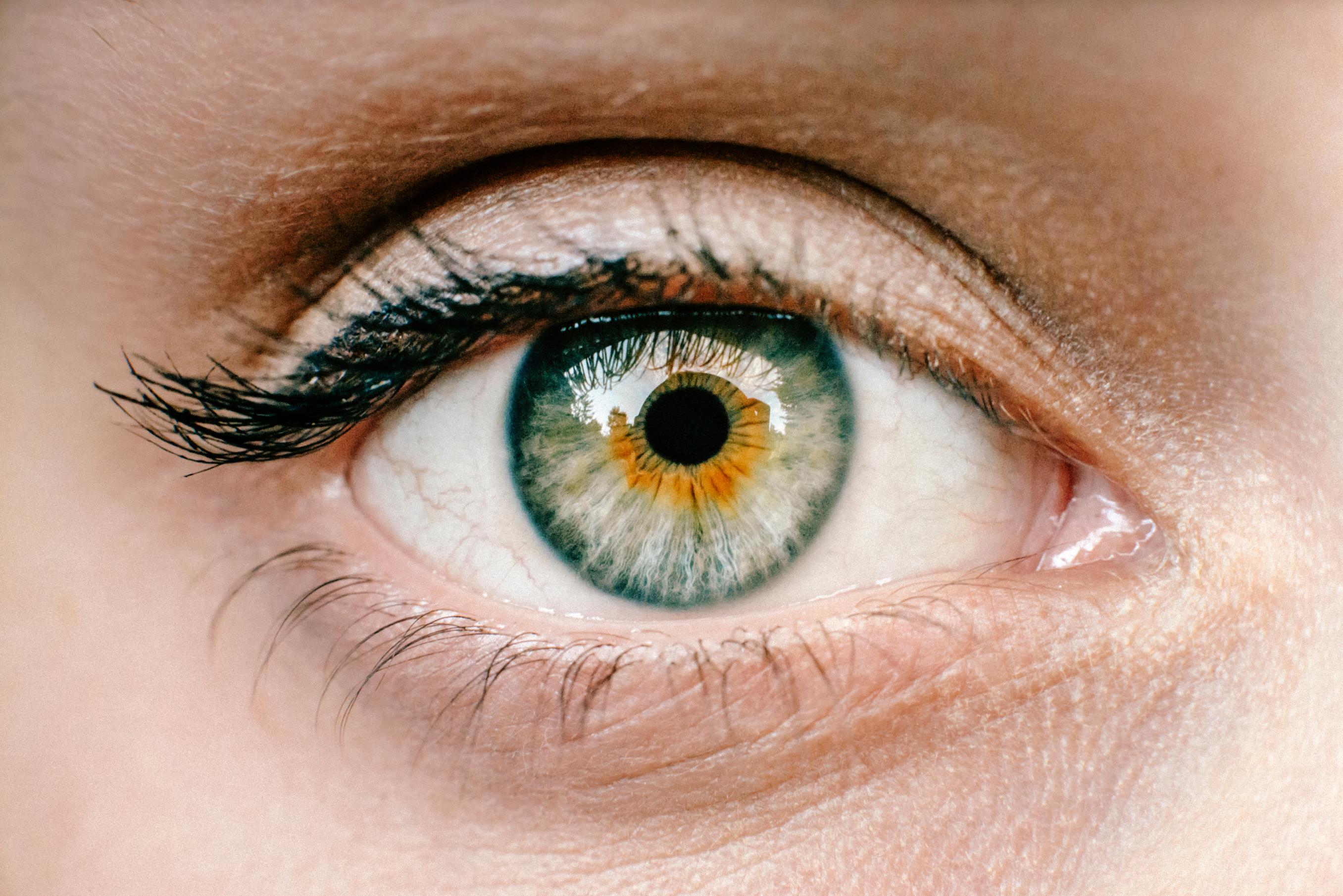 Close up of green eye.